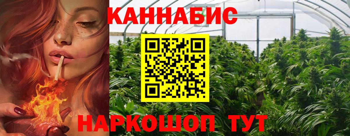Шишки марихуана конопля  Бошки Шишки SATIVA & INDICA  Красногорск  Марихуана ГИДРОПОН  Марихуана план  Вход с VPN 